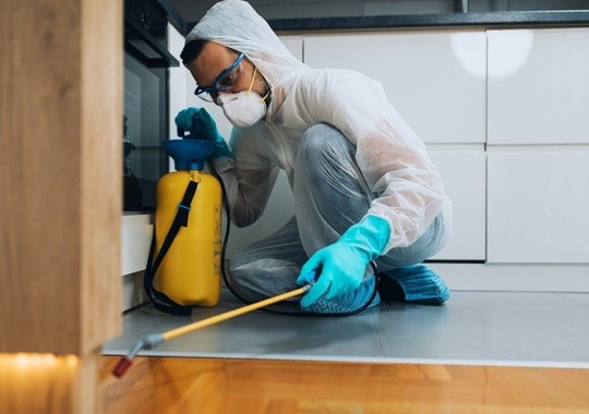 Pest Control Buena Park CA