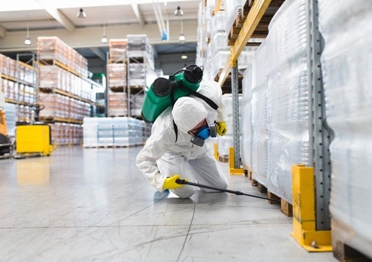 Pest Control Daly City CA