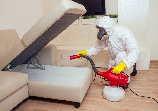 Pest Control Elmhurst NY