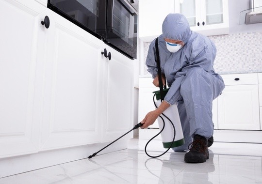 Pest Control Moreno Valley CA