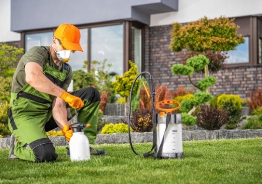 Pest Control Berkeley CA