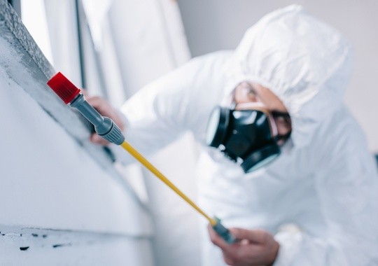 Pest Control Macomb MI