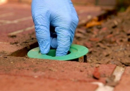 Pest Control Pleasanton CA