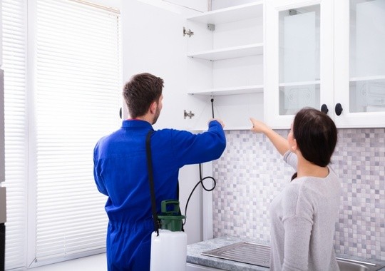 Pest Control Suffolk VA