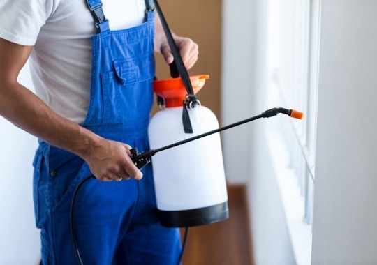 Pest Control Lawrence KS