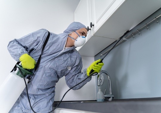 Pest Control Clifton NJ