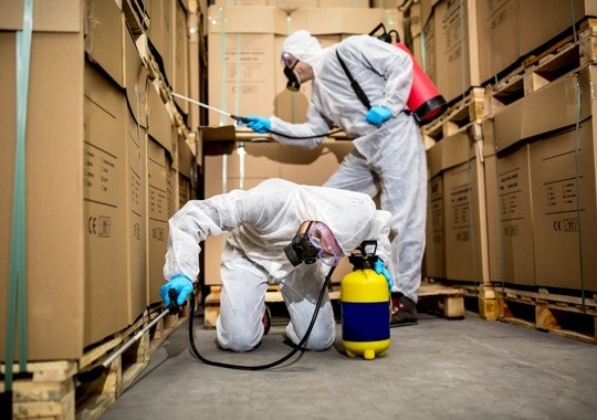 Pest Control San Bernardino CA
