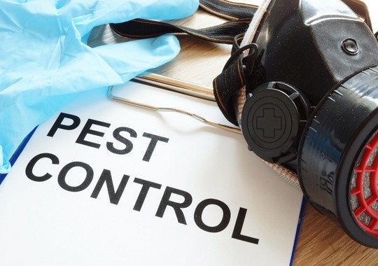 Pest Control Sandy UT