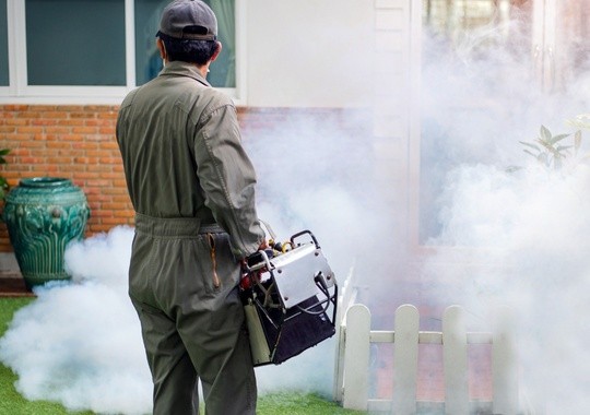 Pest Control Yonkers NY