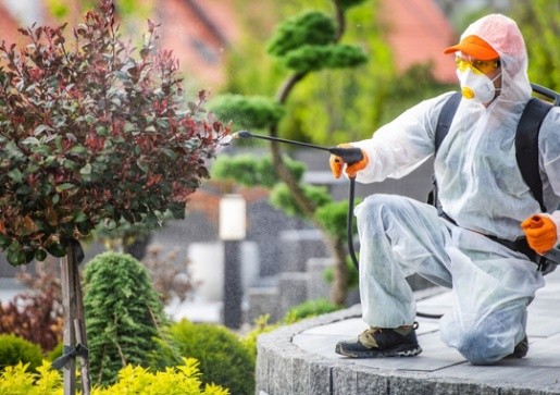 Pest Control Clearwater FL