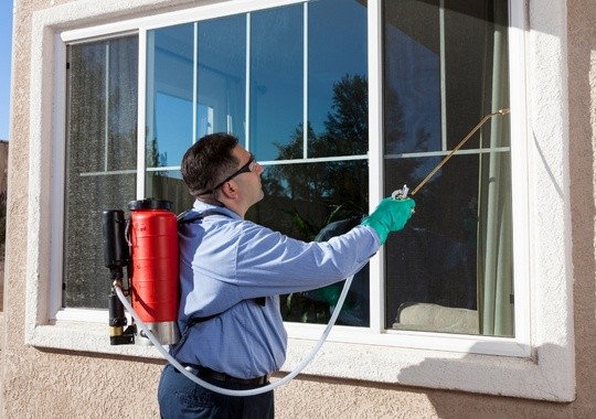 Pest Control West Palm Beach FL