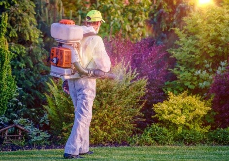 Pest Control Chesapeake VA
