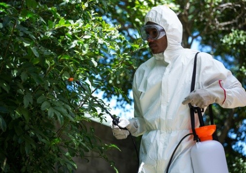 Pest Control Rialto CA