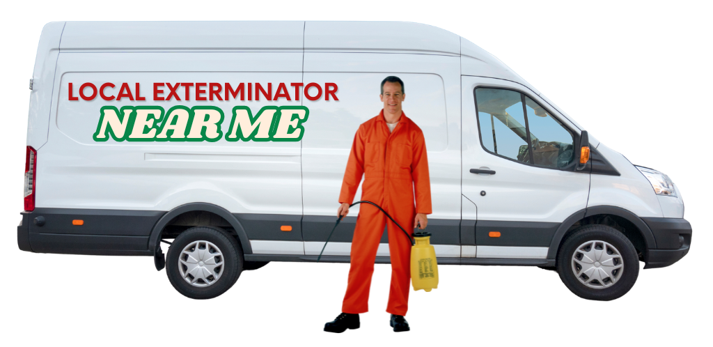 Local Expert
